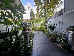 Cashew Estate (D23), Terrace #605418081